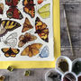 Butterflies Of Britain Illustrated Postcard, thumbnail 4 of 10