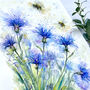 Cornflower And The Bee's Watercolour Print, thumbnail 3 of 8