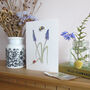 Ladybird And Muscari Any Occasion Greetings Card, thumbnail 3 of 5