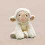 Little Lamb Welcome Baby Hamper, thumbnail 2 of 8