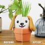 Dog Grow Kit – Grow Pal Plush With Ceramic Plant Pot, thumbnail 4 of 4