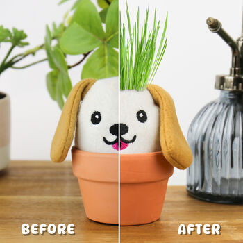 Dog Grow Kit – Grow Pal Plush With Ceramic Plant Pot, 4 of 4