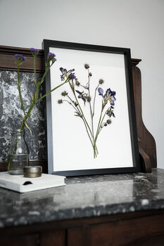 Wild Fade Original Pressed Flower Art In A3 Black Frame, 5 of 8