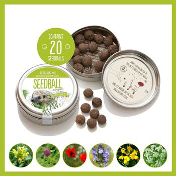 Hedgehog Seedball Wildflower Seed Ball Mix Tin, 7 of 10