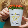 Every School Needs A… Personalised Plant Pot, thumbnail 1 of 4