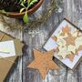 Stars Seed Paper Festive Letterbox Gift, thumbnail 1 of 7