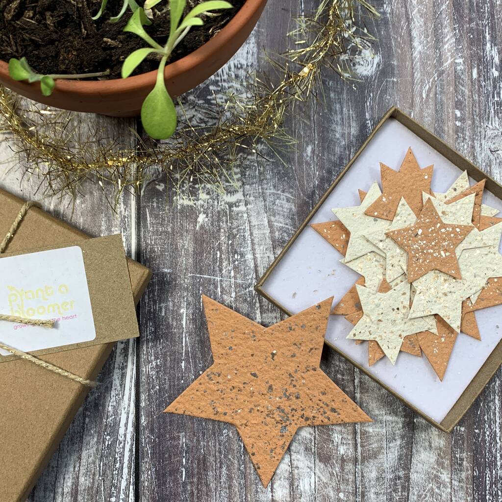 Stars Seed Paper Festive Letterbox Gift, 1 of 7