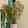 Rainbow Candyfloss Dried Gypsophila Bouquet, thumbnail 9 of 9