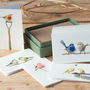 Boxed Collection Of Small Bird Gift Cards, thumbnail 3 of 4