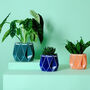 Three Origami Self Watering Eco Plant Pots, thumbnail 2 of 12