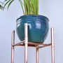 Broad Tall Copper Plant Stand, thumbnail 3 of 3