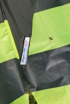 Delta Kite The Bee By Morgan Kites, 6 of 9
