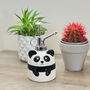 Panda House Plant Mister For Watering Indoor Plants, thumbnail 4 of 5