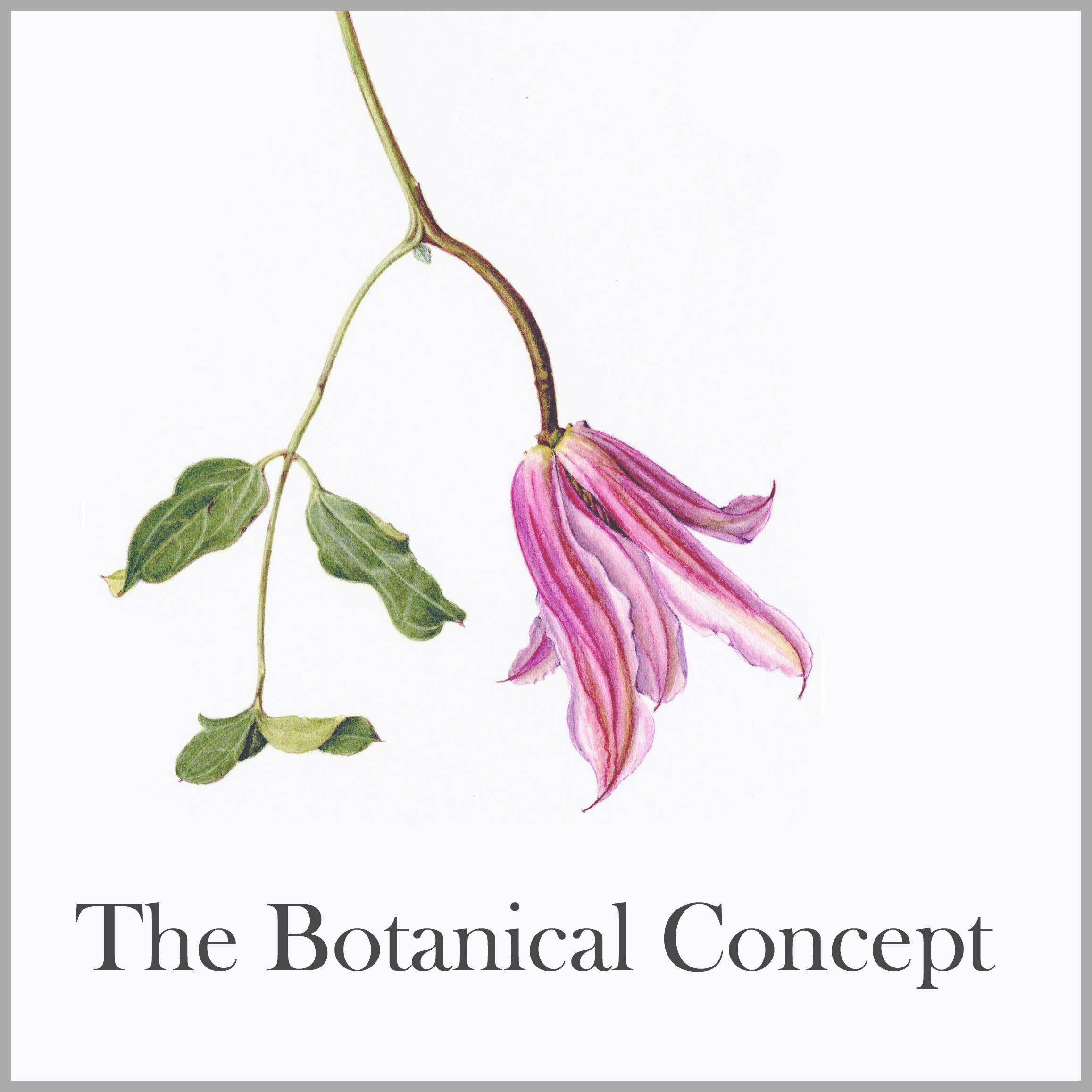 the botanical concept storefront