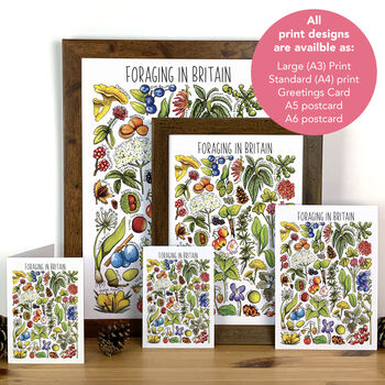 Foraging Plants Of Britain Greeting Card, 4 of 7