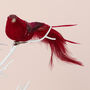 G Decor Clip On Bird Christmas Tree Decoration, thumbnail 4 of 7