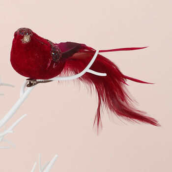 G Decor Clip On Bird Christmas Tree Decoration, 4 of 7