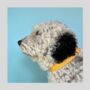 Yellow Polka Dot Dog Collar, thumbnail 3 of 3