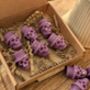 Toffee Apple Skull Shaped Wax Melts For Halloween, thumbnail 6 of 7