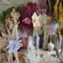 Mystery Dried Flower Selection, thumbnail 1 of 6