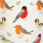 British Garden Birds Ceramic Plant Pot, thumbnail 3 of 3