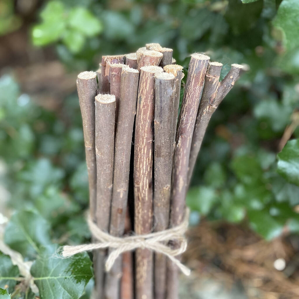Pack Of 20 Willow Pea And Bean Support Sticks 120cm By Garden
