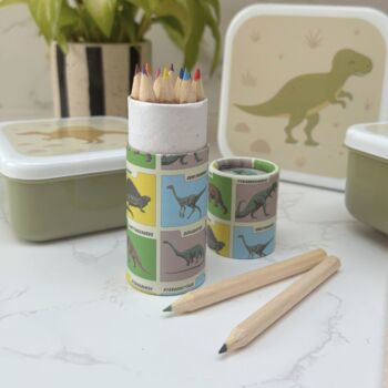 Dinosaur Gift Box For Kids – Lunch And Learn Set – Ideal For School And Birthdays, 6 of 9