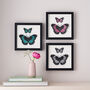 Personalised Butterfly Wall Art Birthday Gift For Her, thumbnail 2 of 6