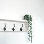 All White Coat Rack With Shelf 10cm Deep, White Shelf With Hooks, Black Hooks, Silver Hooks, Bronze, Copper, Chrome Hooks, Brass Hooks, thumbnail 1 of 7