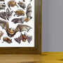 Bats Of Britain Wildlife Print, thumbnail 8 of 8