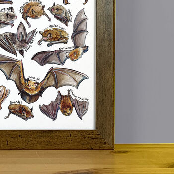 Bats Of Britain Wildlife Print, 8 of 8