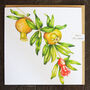 Young Pomegranates Greetings Card, thumbnail 4 of 5