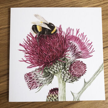 Just Bees! Botanical Floral Art Card Gift Set, 3 of 5