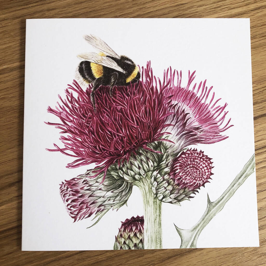 Just Bees! Botanical Floral Art Card Gift Set By Oakley Finch |  