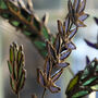 English Lavender Stained Glass Flower, thumbnail 6 of 10