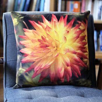 Orange Dahlia Velvet Cushion, 2 of 5