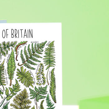 Ferns Of Britain Greeting Card, 4 of 7