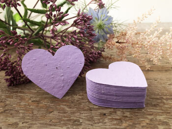 Eco Friendly Plantable Multicoloured Seed Paper Hearts, 8 of 11