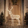 Duchy Stag Dual Colour Micro LED Light Up Reindeer, thumbnail 1 of 6