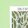 Ferns Of Britain Greeting Card, thumbnail 5 of 7