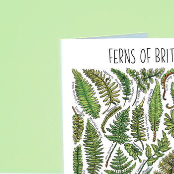 Ferns Of Britain Greeting Card, 5 of 7