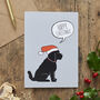Black Cockapoo / Labradoodle Organic Cotton Tea Towel, thumbnail 9 of 11