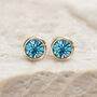 Yellow Gold Plated March Aquamarine Birthstone Stud Earrings, thumbnail 4 of 8