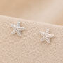 Sterling Silver Starfish Stud Earrings – 7mm, thumbnail 1 of 6