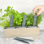 Personalised Slate Herb Plant Markers, thumbnail 1 of 4