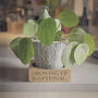 House Plant Pot Stand, thumbnail 8 of 11