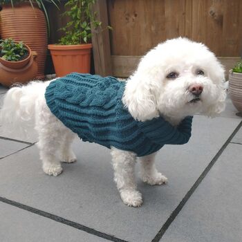 Teal Cable Knit Dog Jumper, 4 of 4