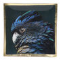 Decorative Parrot Trinket Tray, thumbnail 2 of 3