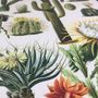 Vintage Cacti Botanical Print, thumbnail 3 of 3