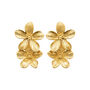 Double Flower Earrings In Golden Stainless Steel, thumbnail 2 of 4